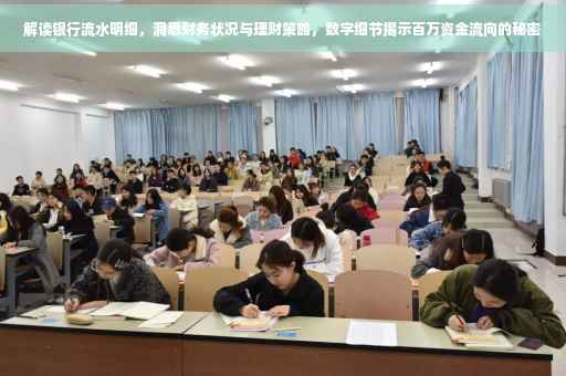 解读银行流水明细，洞悉财务状况与理财策略，数字细节揭示百万资金流向的秘密