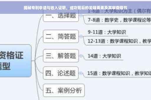揭秘专利申请与收入证明，成功背后的关键要素及其审查细节