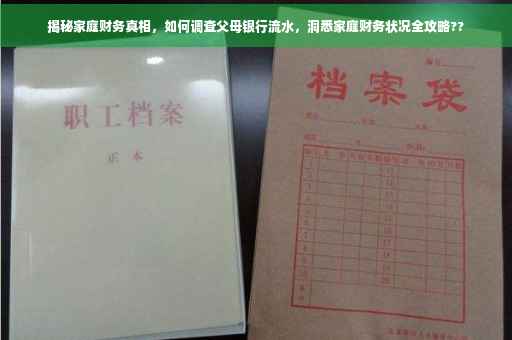揭秘家庭财务真相，如何调查父母银行流水，洞悉家庭财务状况全攻略??
