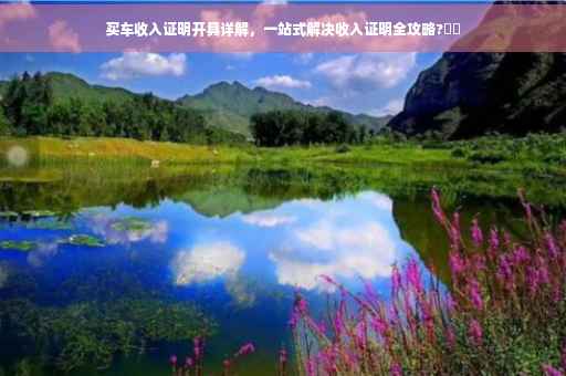 买车收入证明开具详解，一站式解决收入证明全攻略?⚡️