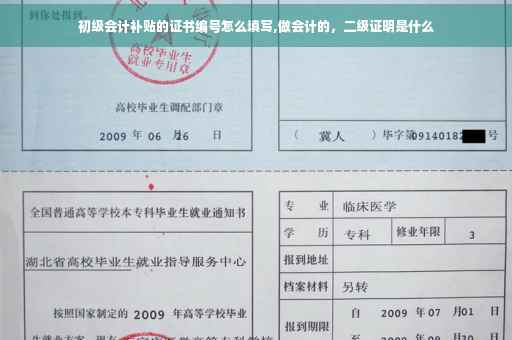 初级会计补贴的证书编号怎么填写,做会计的，二级证明是什么