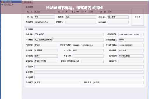 检测证明书详解，样式与内涵揭秘