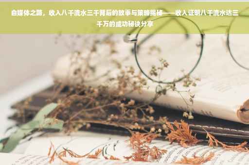 自媒体之路，收入八千流水三千背后的故事与策略揭秘——收入证明八千流水达三千万的成功秘诀分享