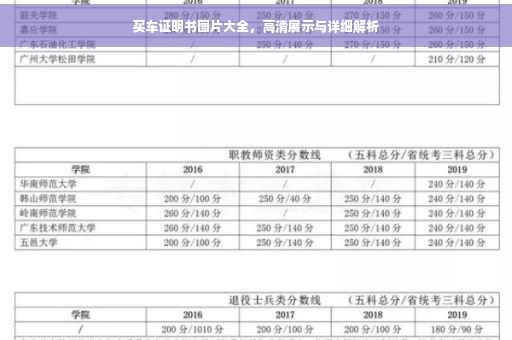 买车证明书图片大全，高清展示与详细解析