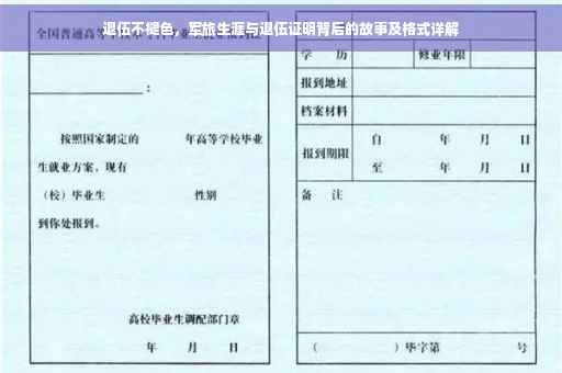 退伍不褪色，军旅生涯与退伍证明背后的故事及格式详解