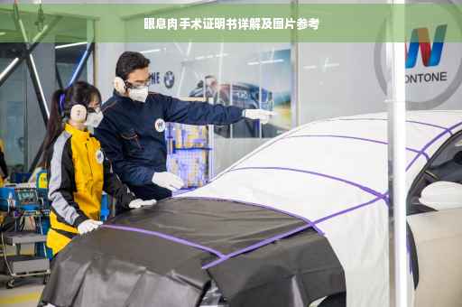 眼息肉手术证明书详解及图片参考
