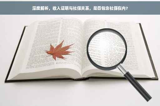 深度解析，收入证明与社保关系，是否包含社保在内？