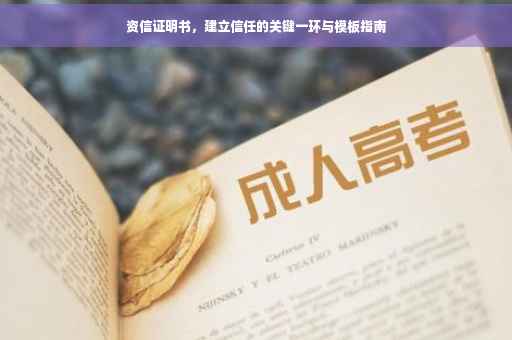 资信证明书，建立信任的关键一环与模板指南