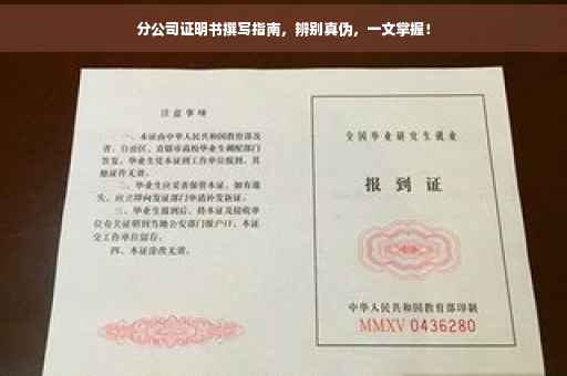 分公司证明书撰写指南，辨别真伪，一文掌握！