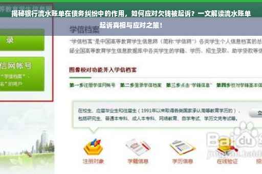 揭秘银行流水账单在债务纠纷中的作用，如何应对欠钱被起诉？一文解读流水账单起诉真相与应对之策！