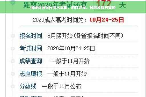 揭秘河源银行流水真相，制作过程、风险及应对策略
