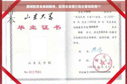 揭秘旅游业金融脉络，旅游企业银行流水查询指南??