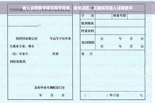 收入证明数字填写细节指南，避免误区，正确填写收入证明数字