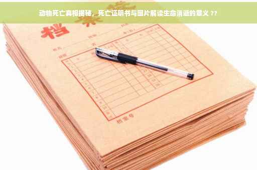 动物死亡真相揭秘，死亡证明书与图片解读生命消逝的意义 ??