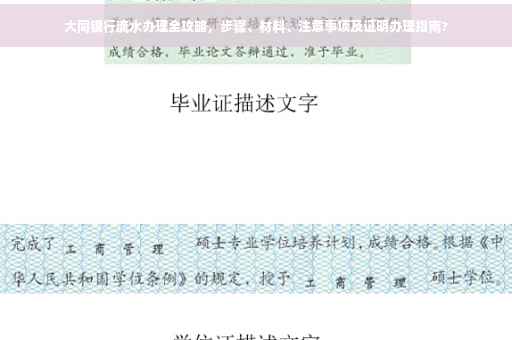 大同银行流水办理全攻略，步骤、材料、注意事项及证明办理指南?