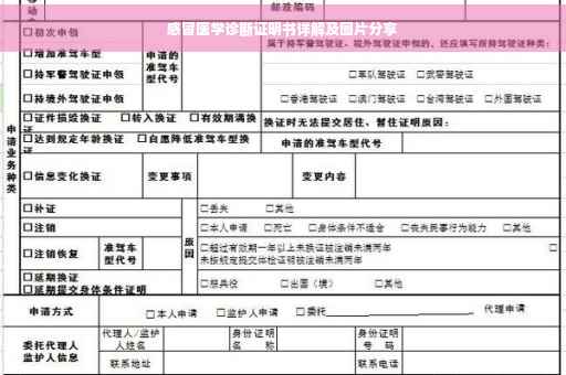 感冒医学诊断证明书详解及图片分享