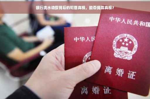 银行流水造假背后的犯罪真相，能否揭露真相？