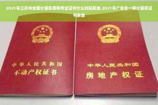 2021年三月份全国计算机等级考试证书什么时间发放,2021年广东省一级计算机证书发放