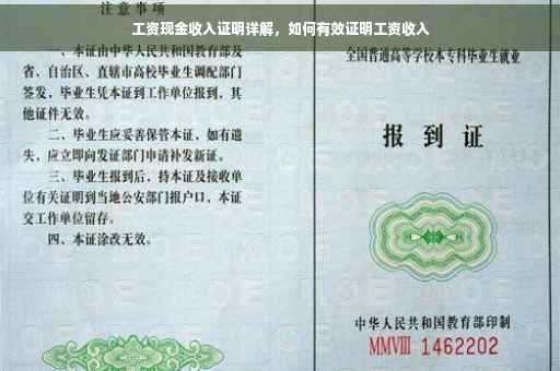 工资现金收入证明详解，如何有效证明工资收入