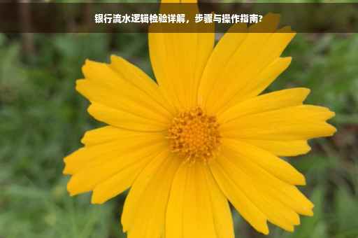 银行流水逻辑检验详解，步骤与操作指南?