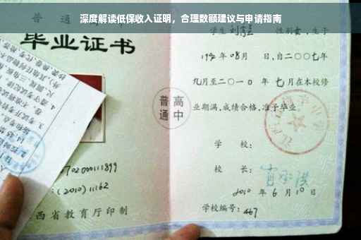 深度解读低保收入证明，合理数额建议与申请指南