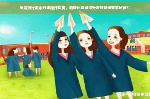 医院银行流水对账操作指南，精细化管理提升财务管理效率秘籍?✨