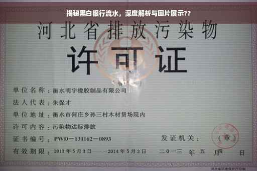 揭秘黑白银行流水，深度解析与图片展示??