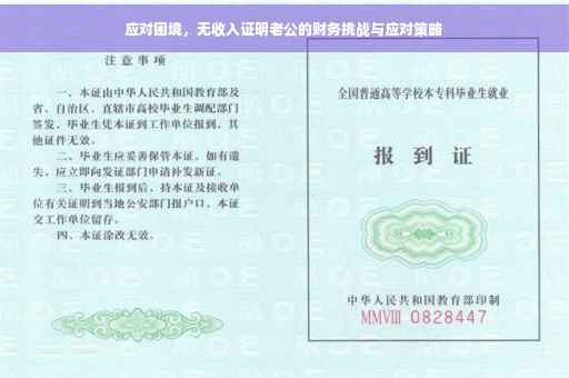 应对困境，无收入证明老公的财务挑战与应对策略
