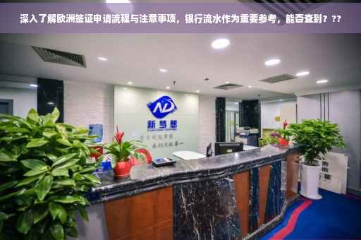 深入了解欧洲签证申请流程与注意事项，银行流水作为重要参考，能否查到？??