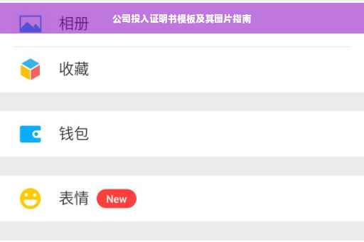 公司投入证明书模板及其图片指南