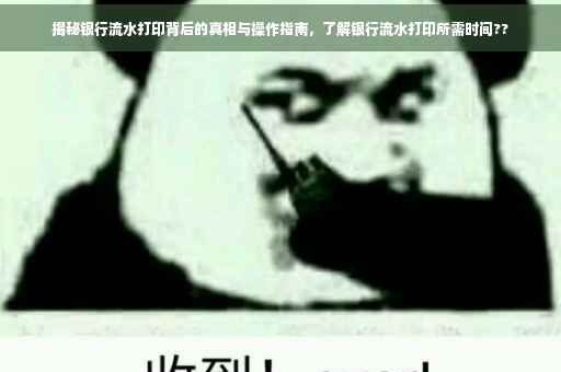 揭秘银行流水打印背后的真相与操作指南，了解银行流水打印所需时间??