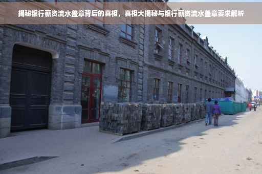 揭秘银行薪资流水盖章背后的真相，真相大揭秘与银行薪资流水盖章要求解析