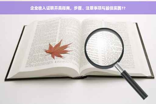 企业收入证明开具指南，步骤、注意事项与最佳实践??