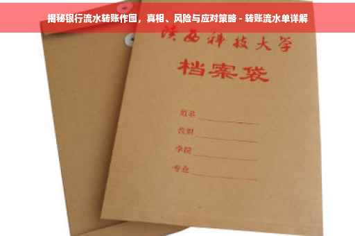 揭秘银行流水转账作图，真相、风险与应对策略 - 转账流水单详解