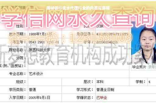 揭秘银行流水代理行业的内幕与真相