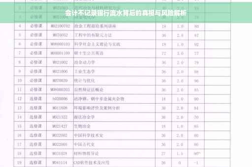 会计不记录银行流水背后的真相与风险解析