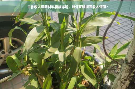 工作收入证明材料模板详解，如何正确撰写收入证明？