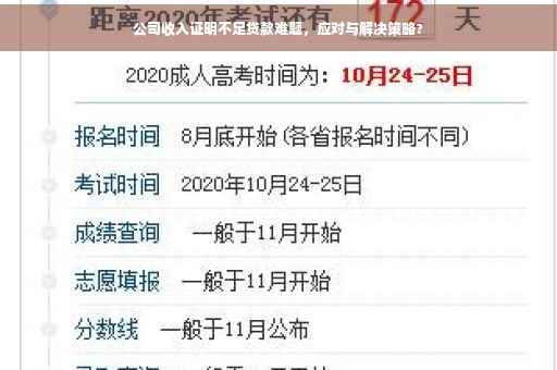 公司收入证明不足贷款难题，应对与解决策略?