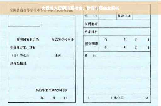 大理收入证明填写指南，步骤与要点全解析
