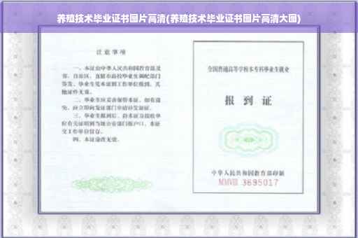养殖技术毕业证书图片高清(养殖技术毕业证书图片高清大图)