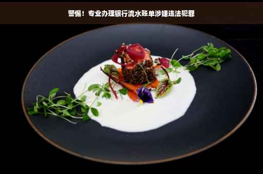 警惕！专业办理银行流水账单涉嫌违法犯罪