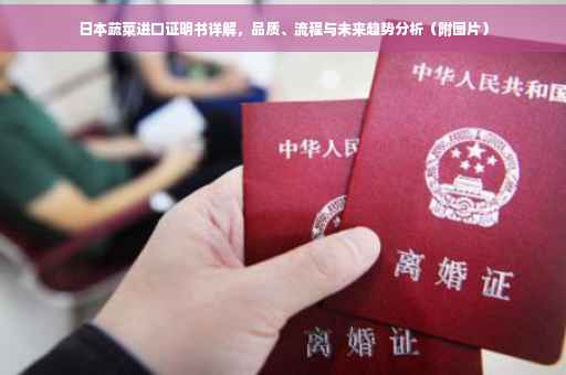 日本蔬菜进口证明书详解，品质、流程与未来趋势分析（附图片）