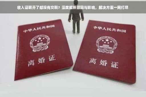 收入证明开了却没有交税？深度解析原因与影响，解决方案一网打尽