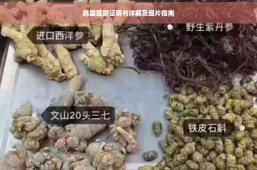 韩国医院证明书详解及图片指南