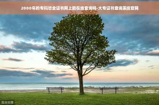 2000年的专科毕业证书网上能在线查询吗-大专证书查询系统官网