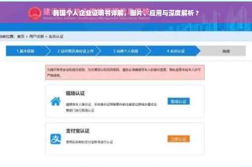 韩国个人企业证明书详解，图片、应用与深度解析 ?