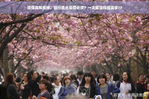 担保真相揭秘，银行流水是否必须？一文解读担保需求??