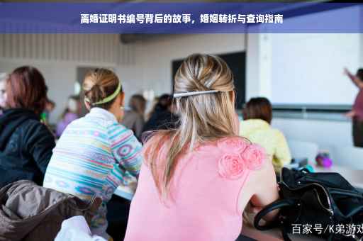 离婚证明书编号背后的故事，婚姻转折与查询指南