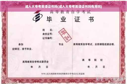 成人大专考英语证书吗(成人大专考英语证书吗有用吗)