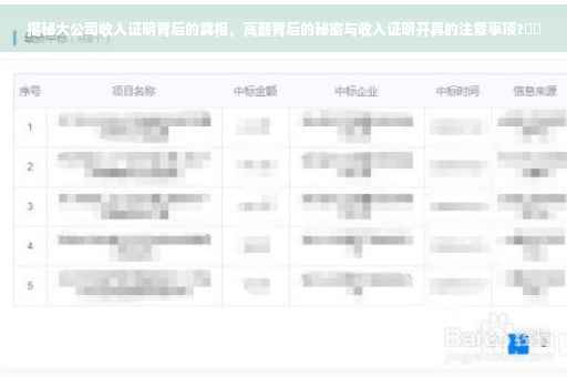 揭秘大公司收入证明背后的真相，高薪背后的秘密与收入证明开具的注意事项?⚡️